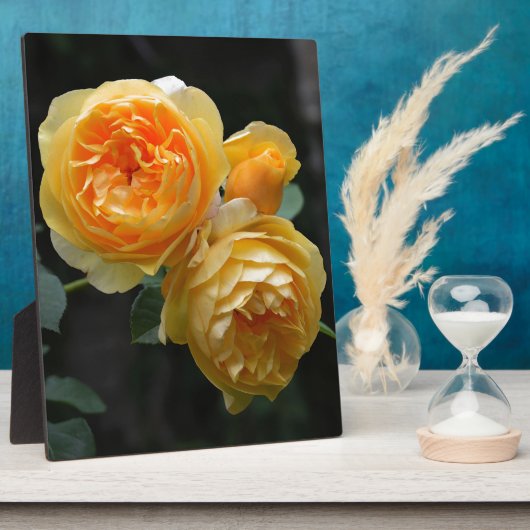 Geel Roos Fotoplaat (Zijkant)