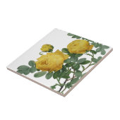 geel roos schilderij tegeltje (Zijkant)