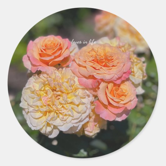  geel & roze rozen ronde sticker (Voorkant)