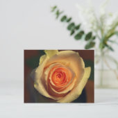 Geel rozenBriefkaart Briefkaart (Staand voorkant)