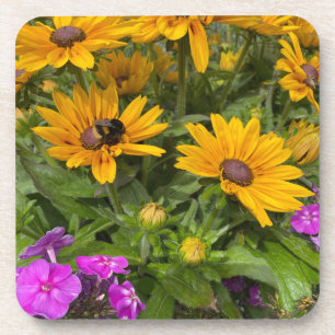 Geel Rudbeckia Flowers Roze Phlox en Bee Bier Onderzetter