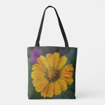 Geel Snoep Striped Zinnia