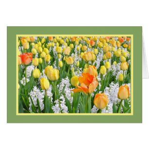 GEEL, TANGERINE TULIPS MET WITTE HYACINTHEN