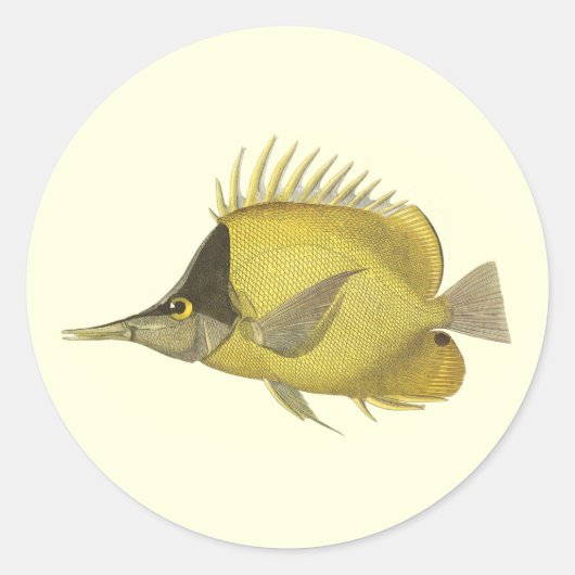Geel Tropische Chelmon longirostris,  Vis Ronde Sticker (Voorkant)
