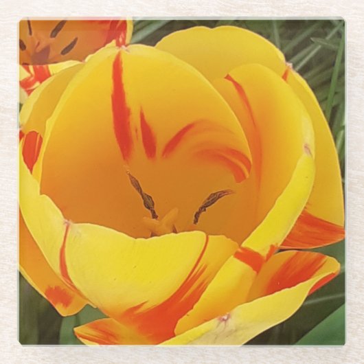 Geel Tulp Onderzetter (Voorkant)
