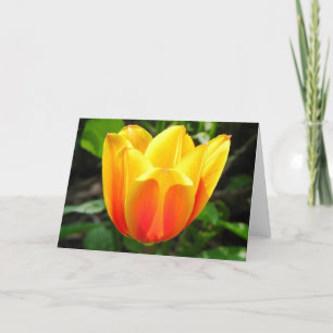 Geel Tulp Wenskaart Kaart