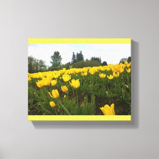 Geel Tulpveld, oregon Canvas Afdruk (Voorkant)