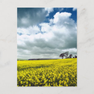 Geel veld briefkaart