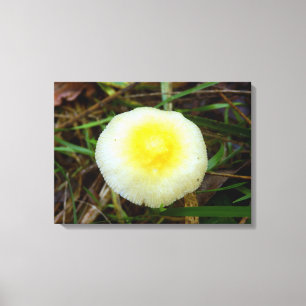 Geel Veld Pet Mushroom Canvas Print