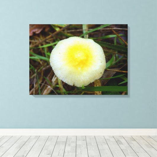 Geel Veld Pet Mushroom Canvas Print (Insitu (Houten vloer))