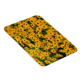 Geel veld van Daisies - Bloem - Magnet Magneet (Rechterzijde)