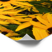 Geel veld van Daisies Poster (Hoek)