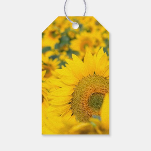 Geel veld Zonnebloemen Foto Dank u wel Cadeaulabel (Achterkant)