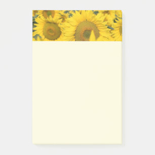 Geel veld Zonnebloemen Foto Post-it® Notes