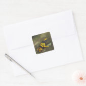 Geel-verbonden giftendart Frog Dendrobates Vierkante Sticker (Envelop)