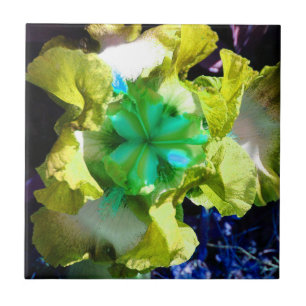 Geel, wit en groen Iris Flower Tegel Tegeltje