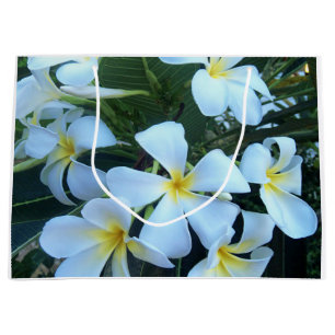 geel, wit, frangipani, bloem, natuur, zomer, groot cadeauzakje