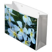 geel, wit, frangipani, bloem, natuur, zomer, groot cadeauzakje (Voorkant Gekanteld)