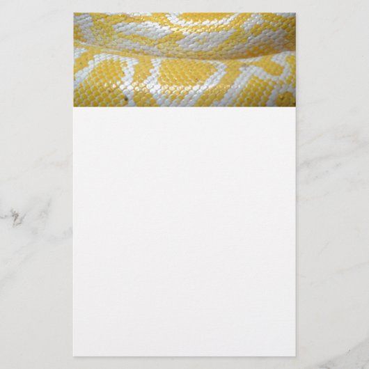 GEEL WITTE BOA SNAKE HUID TEXTURES REPTILES PATT BRIEFPAPIER (Voorkant)