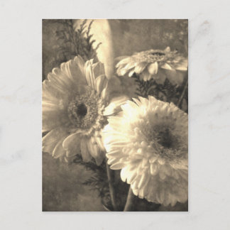 Geel-witte Gerbera en Calla 1 Briefkaart