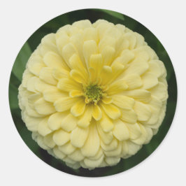 Geel Zinnia Bloem Ronde Stickers