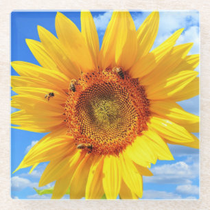 Geel Zonnebloem en Bijenglas Onderzetter