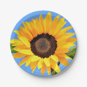 Geel Zonnebloempapier Borden Blue Sky Papieren Bordje