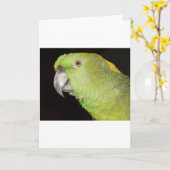 Geelachtige Amazone Kaart (Gele Bloem)