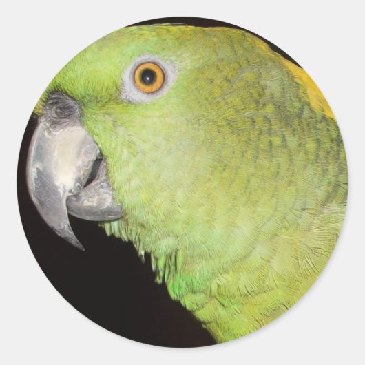 Geelachtige Amazone Ronde Sticker (Voorkant)