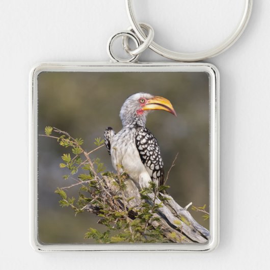 Geelbruin Sleutelhanger (Voorkant)