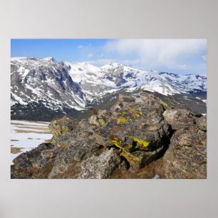 Geelbuikmarmot die naar de Rocky Mountains kijkt Poster