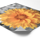 Geelgekleurde Bloem Poster (Hoek)