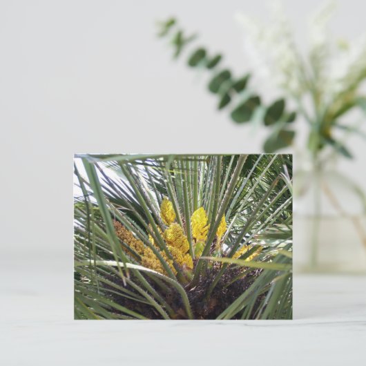 Geelgroene palmbloemen briefkaart (Staand voorkant)