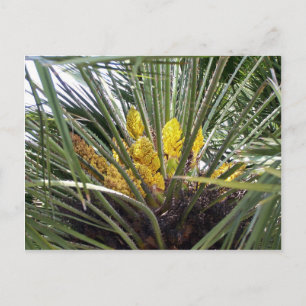 Geelgroene palmbloemen briefkaart