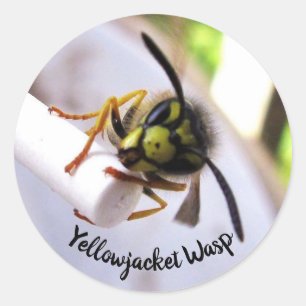 Geeljaswesp (Vespulae) Schattig Gezicht Ronde Sticker