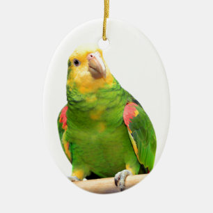 Geelkopamazon Keramisch Ornament