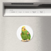 Geelkopamazon Magneet (Insitu (Vaatwasser))