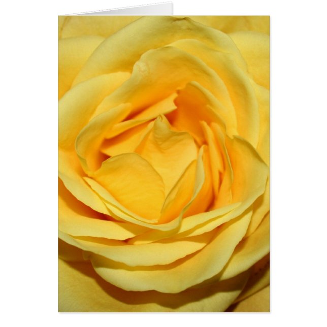 geelrosecard (Voorkant)