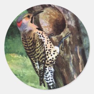Geelschachten Flicker en Tree Cavity Ronde Sticker