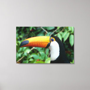 Geelsnaveltoucan Canvas Afdruk