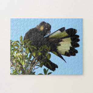 Geelstaartcocao Legpuzzel