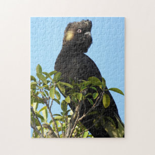 Geelstaartcocao Legpuzzel