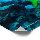 Geelstaartje Poster (Hoek)