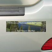geelsteen bumpersticker (Op auto)