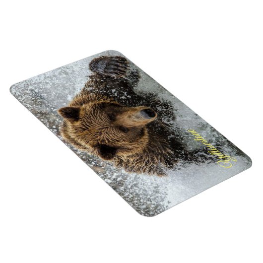 geelsteen Magnet-Beer Magneet (Rechterzijde)