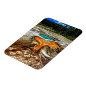 geelsteen thermische pool magneet (Linkerzijde)