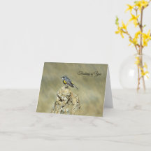 Geelstuitzanger - Aan jou denken