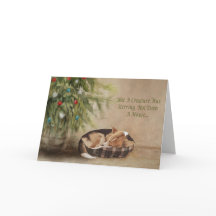 Geen creatie was Stirring Corgi