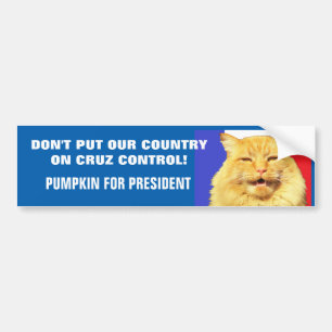 Geen Cruz Control - pompoen voor President 16 Bumpersticker