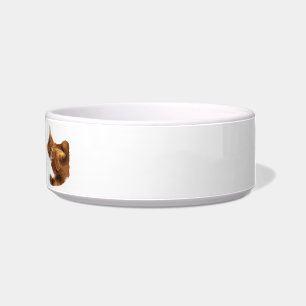 Geen declaw Kitty Cat Food Bowl Voerbakje